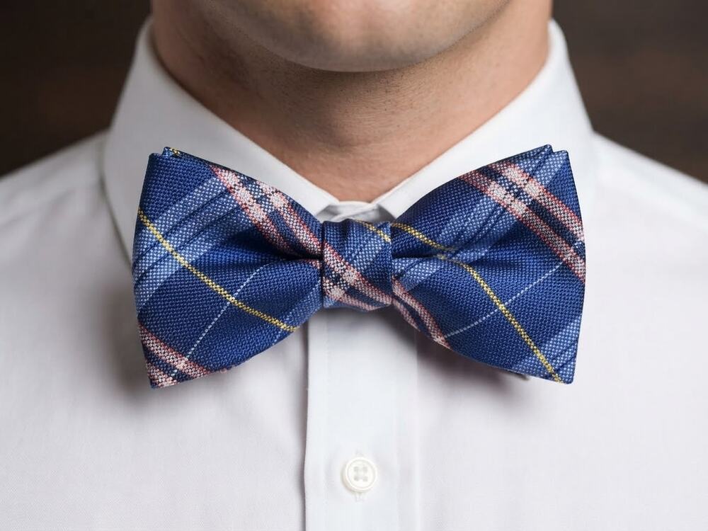 NWT Daniel Cremieux blue pink white plaid silk bow tie